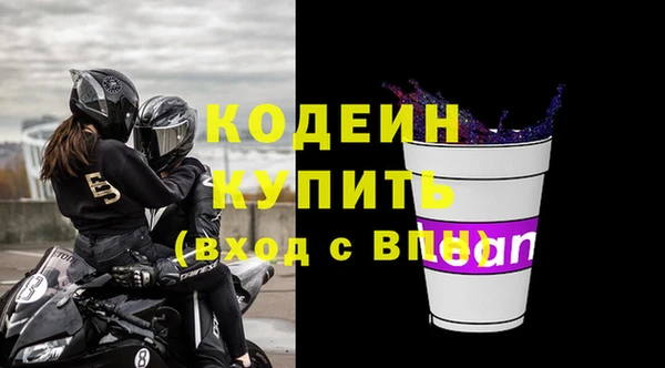 СК Бердск