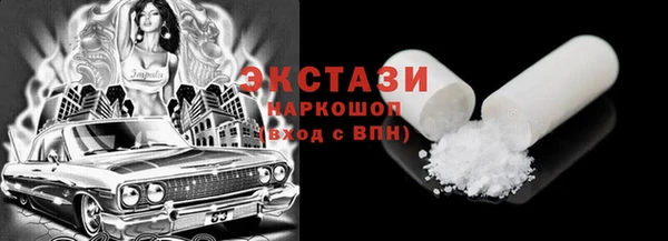 СК Бердск